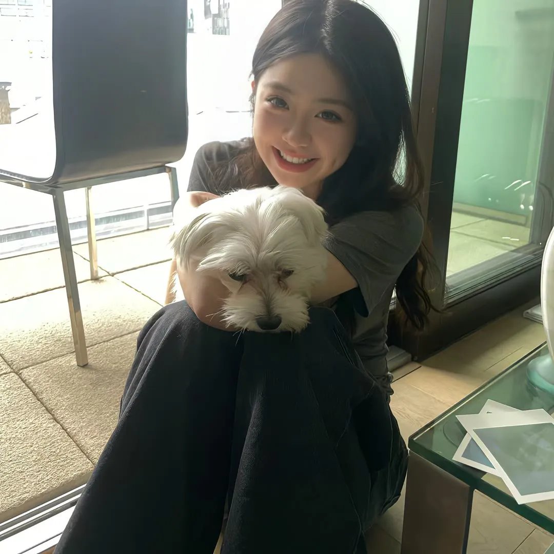 女王蜂游戏